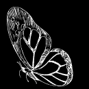 青璞｜預約幸福